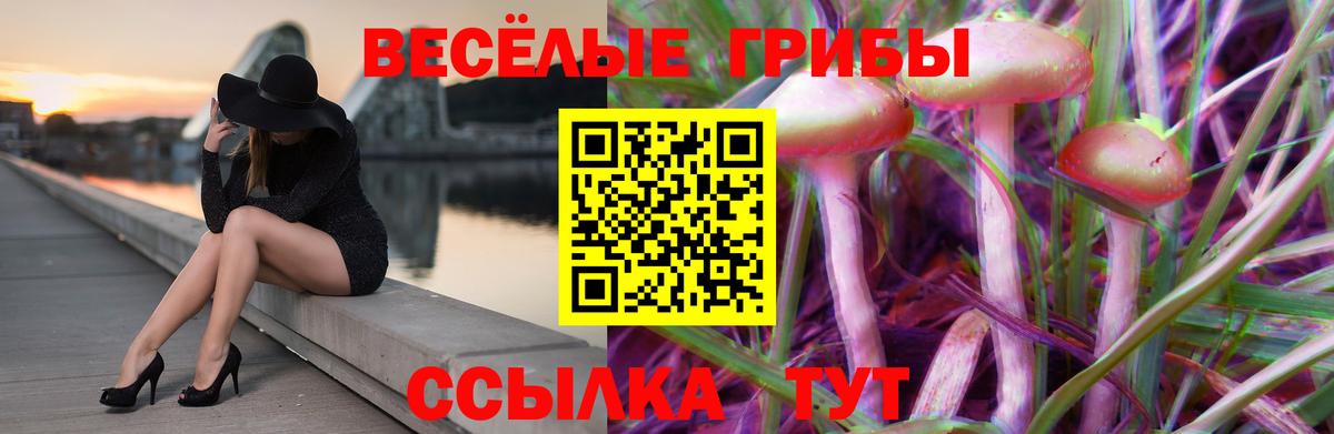 Псилоцибиновые грибы Psilocybine cubensis Белая Калитва