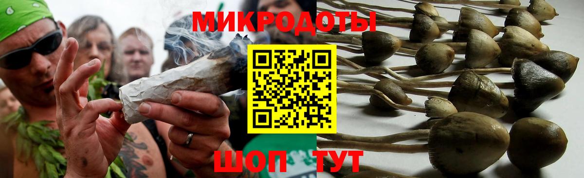 Галлюциногенные грибы MAGIC MUSHROOMS  Вход с VPN  Белая Калитва 